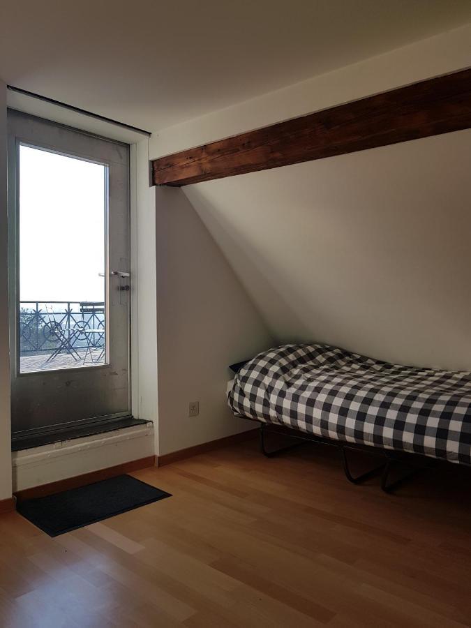 3.5 Zimmer Mit Aussichtsterrasse Apartment Zurich Exterior photo